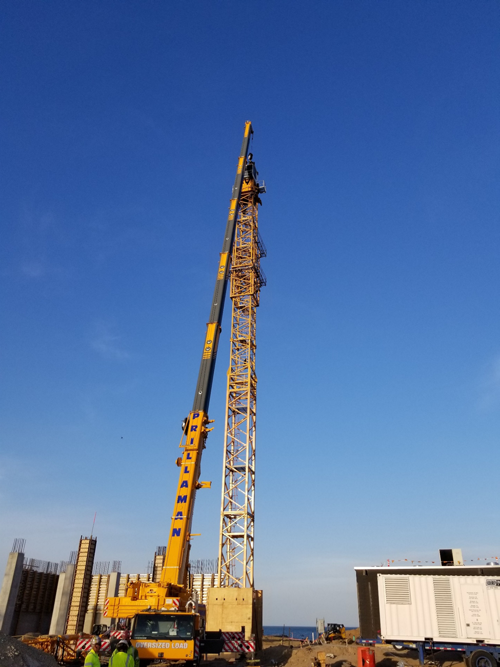 A crane is standing in front of the sky.